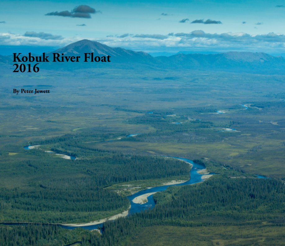 View Kobuk River by Peter Jewettt