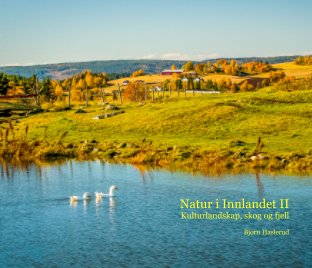 Natur i Innlandet II book cover