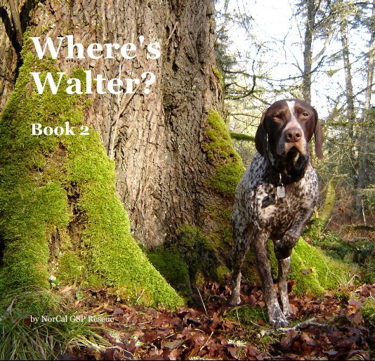 Ver Where's Walter? Book 2 por NorCal GSP Rescue