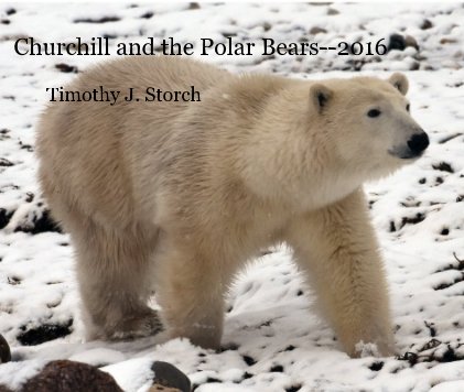 Churchill and the Polar Bears--2016 book cover