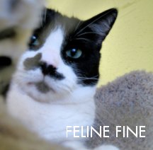 Feline Fine book cover