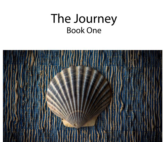 View The Journey Book One by Ryan Willey