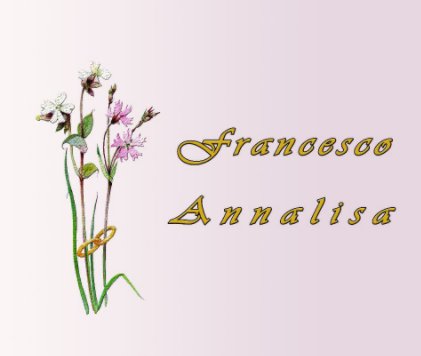 Matrimonio Annalisa book cover