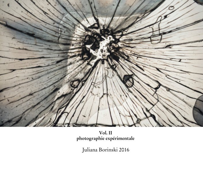 View Vol. II photographie expérimentale by Juliana Borinski 2016