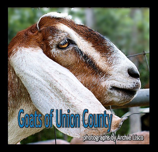 View Goats of Union County by Archie Lisco