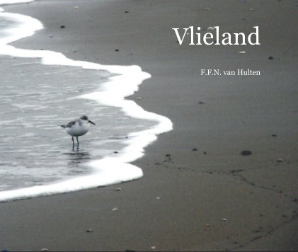 Vlieland book cover