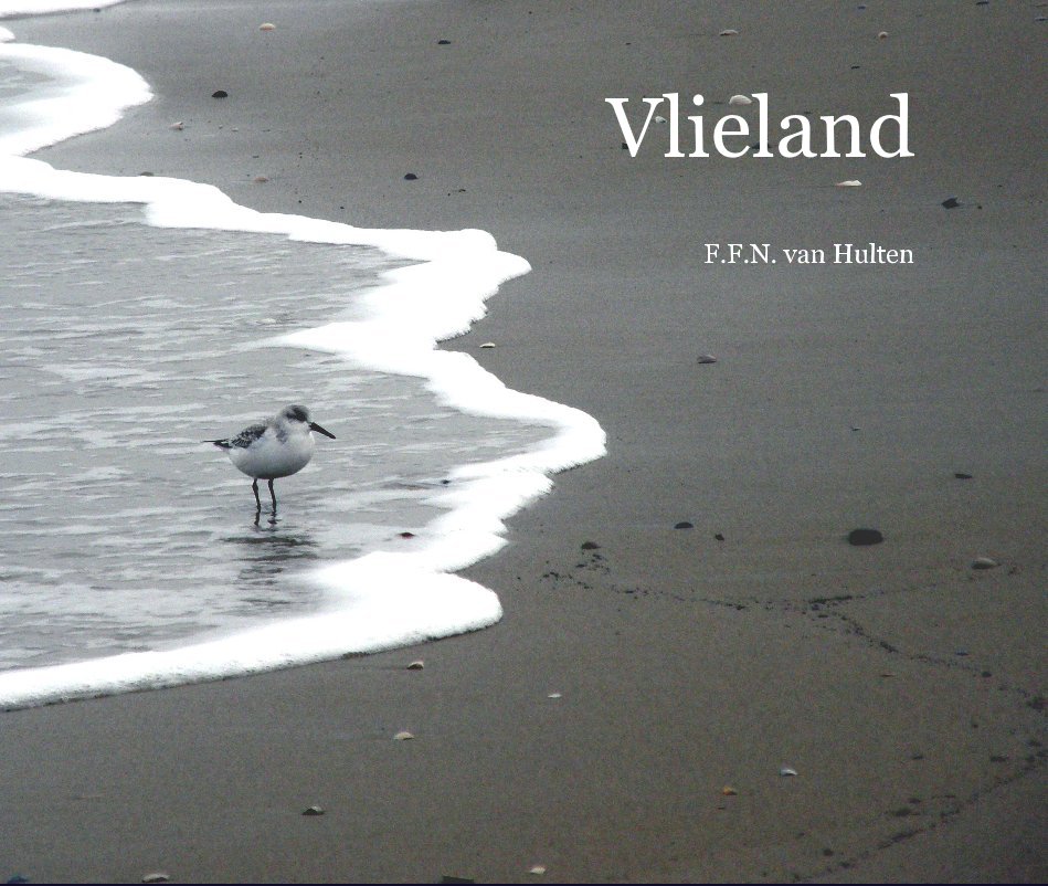 View Vlieland by F.F.N. van Hulten