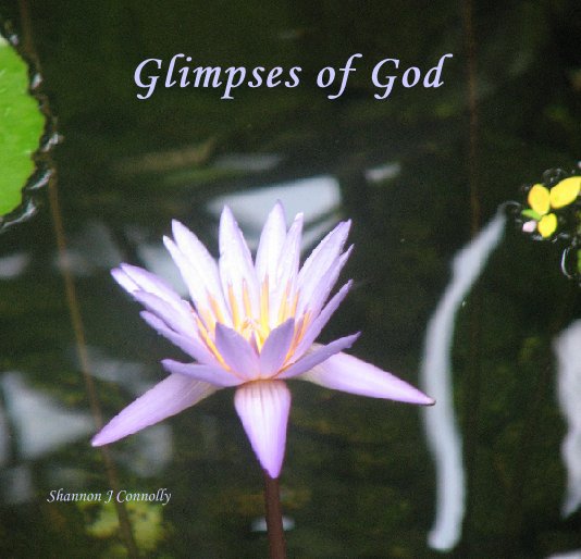 View Glimpses of God by Shannon J Connolly
