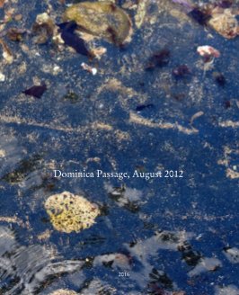 Dominica Passage, 2012 book cover