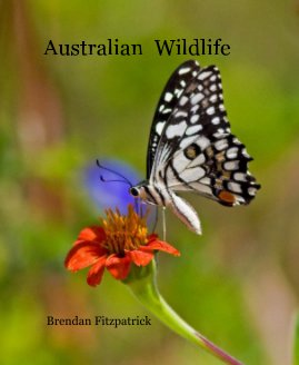 Australian Wildlife book cover