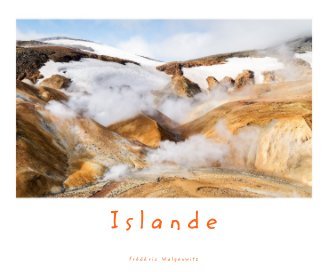 Islande 1- De la Péninsule de Snaefellsness à la Côte Nord book cover
