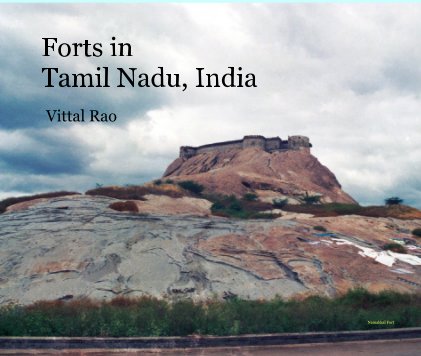 Forts in Tamil Nadu, India book cover