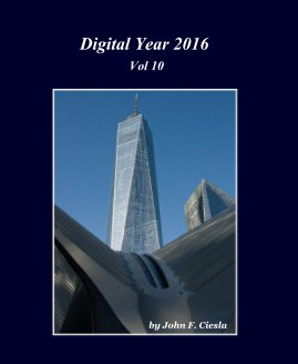 Digital Year 2016 Vol 10 book cover