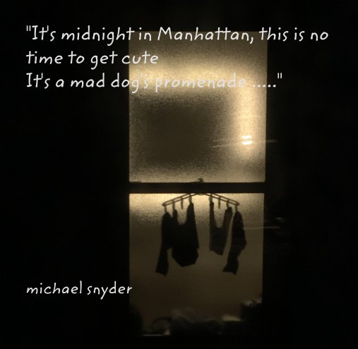 View "It's midnight in Manhattan, this is no time to get cute  It's a mad dog's promenade ....." by michael snyder