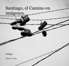 Santiago, el Camino en imágenes. book cover