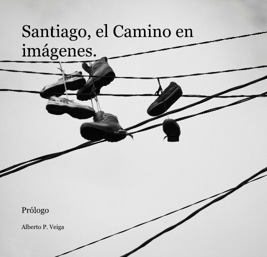 View Santiago, el Camino en imágenes. by Alberto P. Veiga