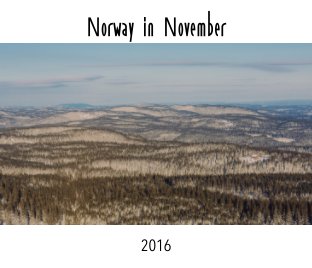 Norway in November book cover