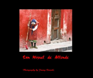 San Miguel de Allende book cover