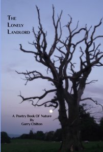 The Lonely Landlord book cover