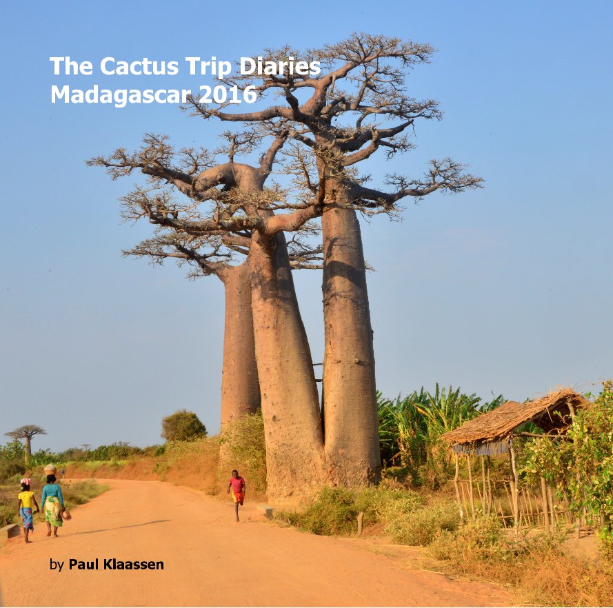 View The Cactus Trip Diaries - Madagascar 2016 by Paul Klaassen