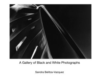 A Gallery of Black and White Photographs book cover
