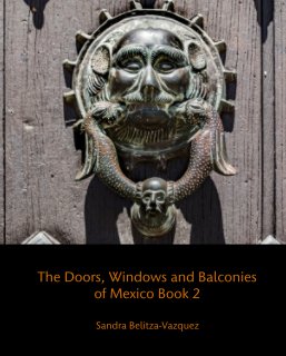 The Doors, Windows and Balconies of Mexico Book 2 book cover