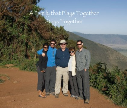 A Family that Plays Together Stays Together book cover