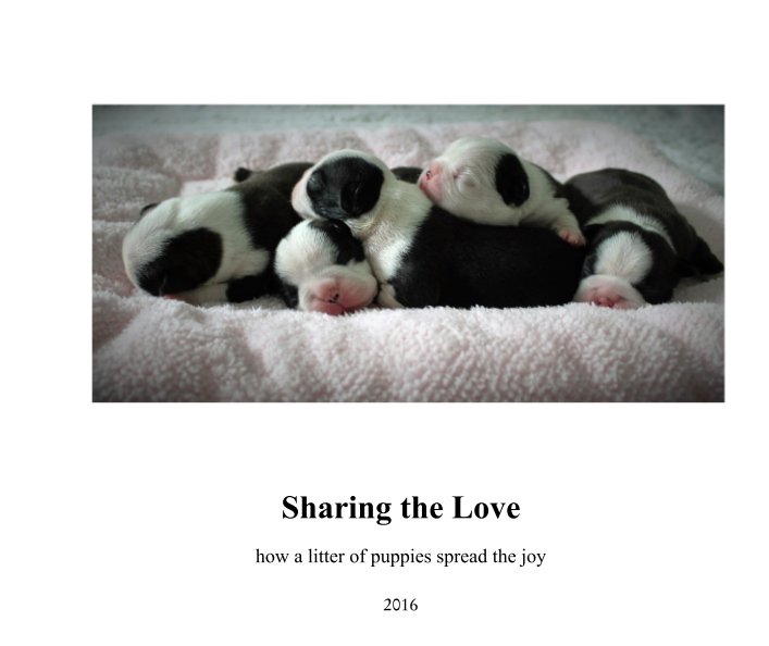 View Sharing the Love  how a litter of puppies spread the joy by Jeanne Stewart