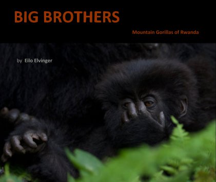BIG BROTHERS Mountain Gorillas of Rwanda book cover