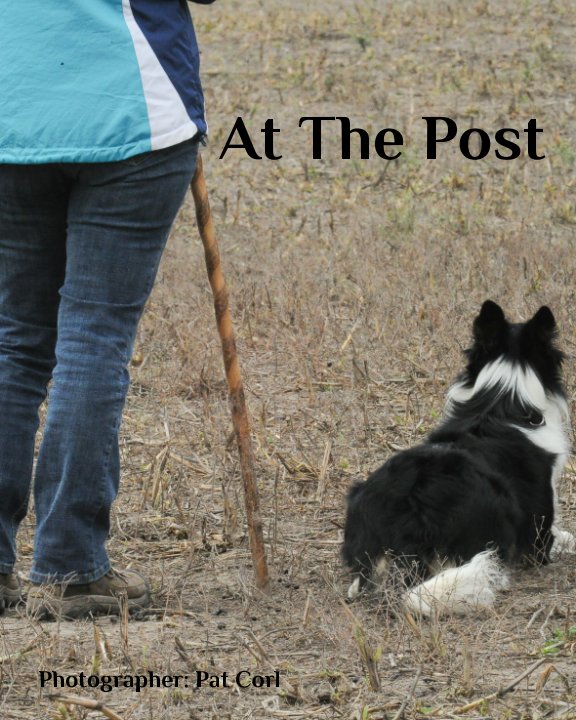 View At The Post by Pat Corl