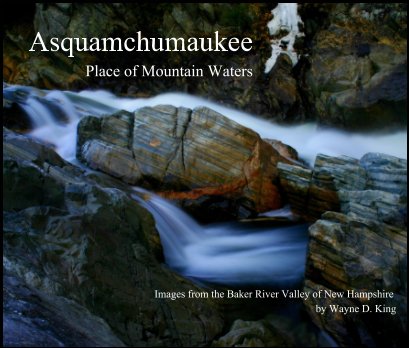 Asquamchumaukee - Place of Mountain Waters book cover