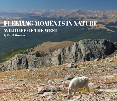 Fleeting Moments in Nature book cover