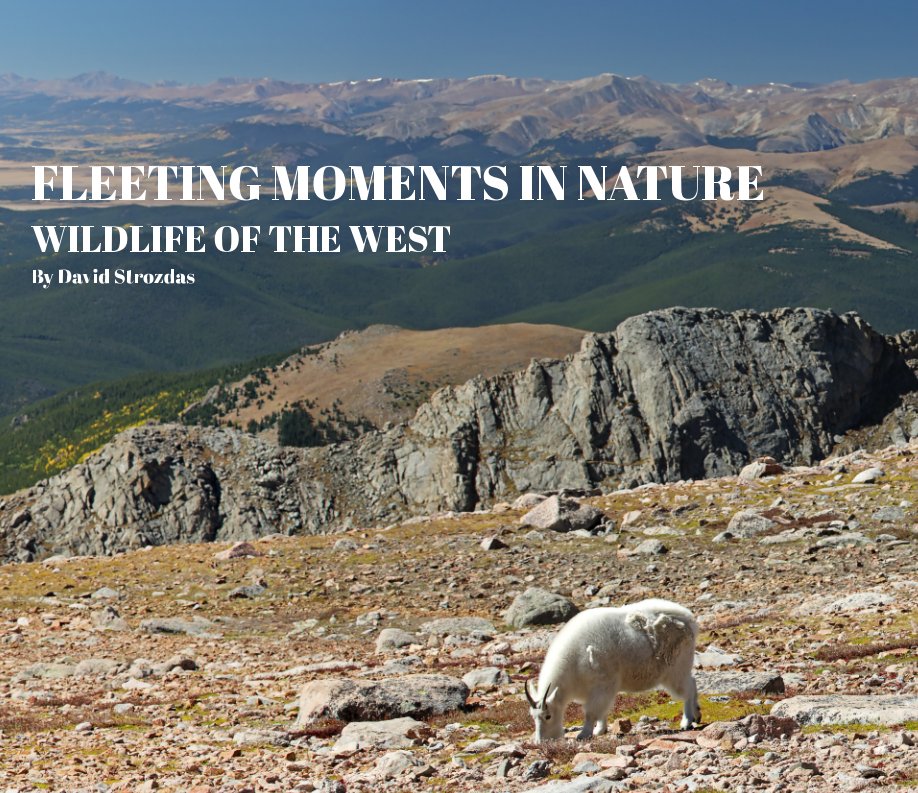 Ver Fleeting Moments in Nature por David Strozdas