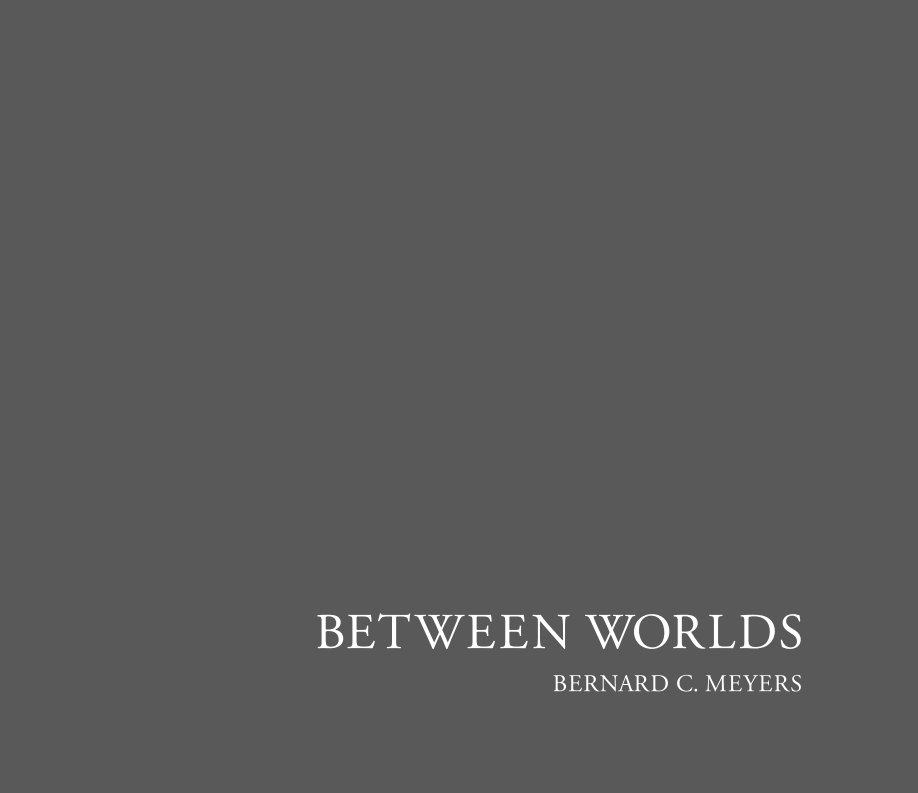Visualizza Between Worlds di Bernard C. Meyers