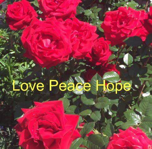 View Love Peace Hope by HolyBooks