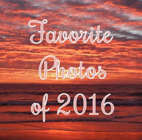 View Favorite Photos of 2016 by Kylie Renee Mawson