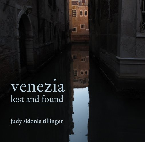 View venezia lost and found by judy sidonie tillinger