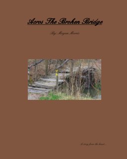 Across The Broken Bridge book cover