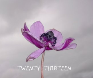 Twenty Thirteen book cover