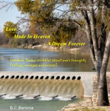 Love Made In Heaven - A Dream Forever book cover