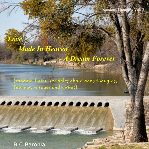 View Love Made In Heaven - A Dream Forever by B C Baronia