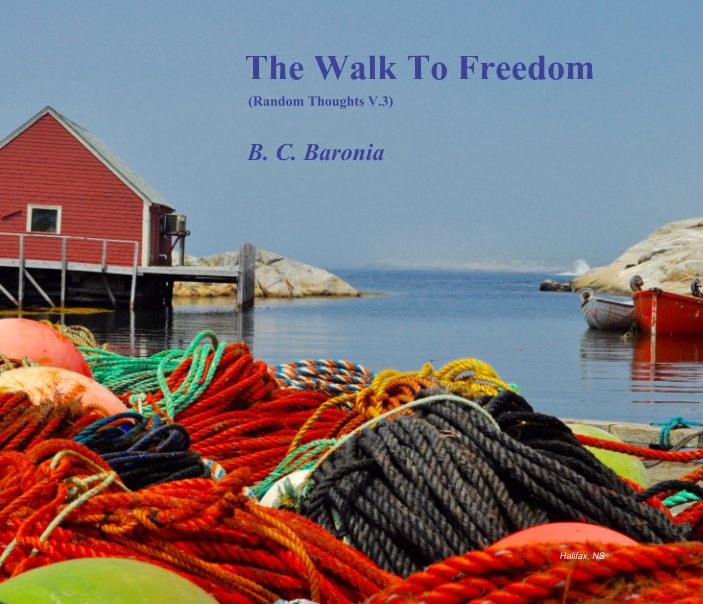 View The Walk To Freedom by B C Baronia
