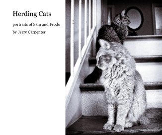 Herding Cats book cover