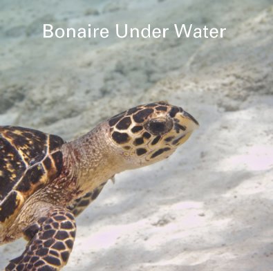 Bonaire Under Water book cover