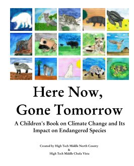 Here Now, Gone Tomorrow book cover