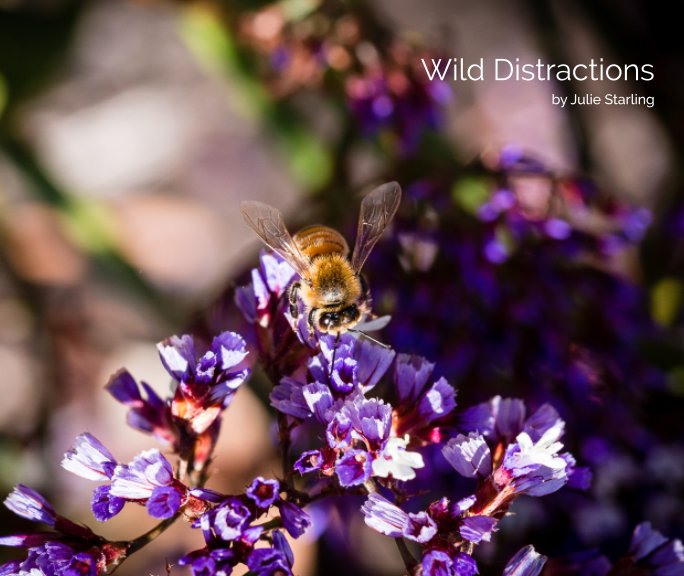 View Wild Distractions by Julie Starling