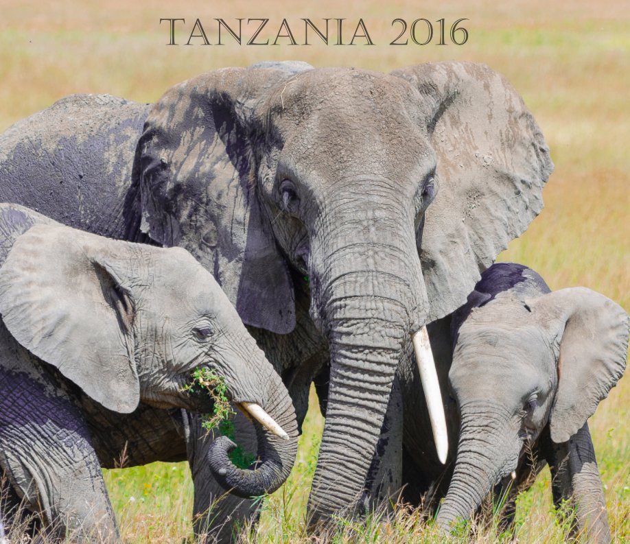 Ver Tanzania 2016 por Mark Guagliardo