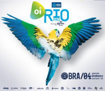 WSL | OI RIO PRO 2016 book cover