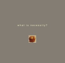 what is necessity? book cover