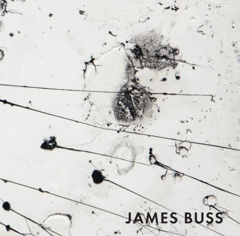 Visualizza James Buss di Holly Johnson Gallery